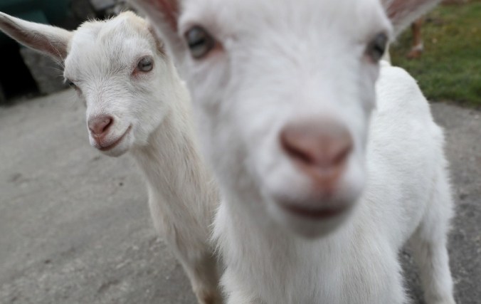 1261E5C6-47A2-4CD0-A882-BF073FC17F52