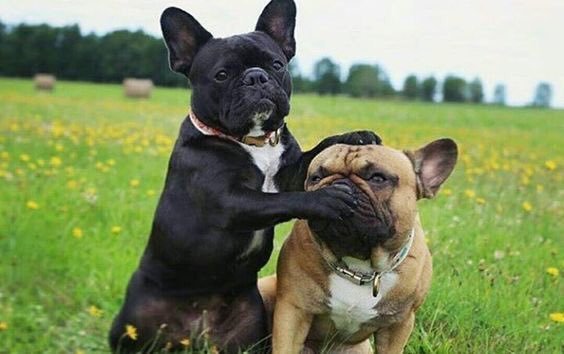 42E68131-52F1-416F-A556-0F804F454ECE