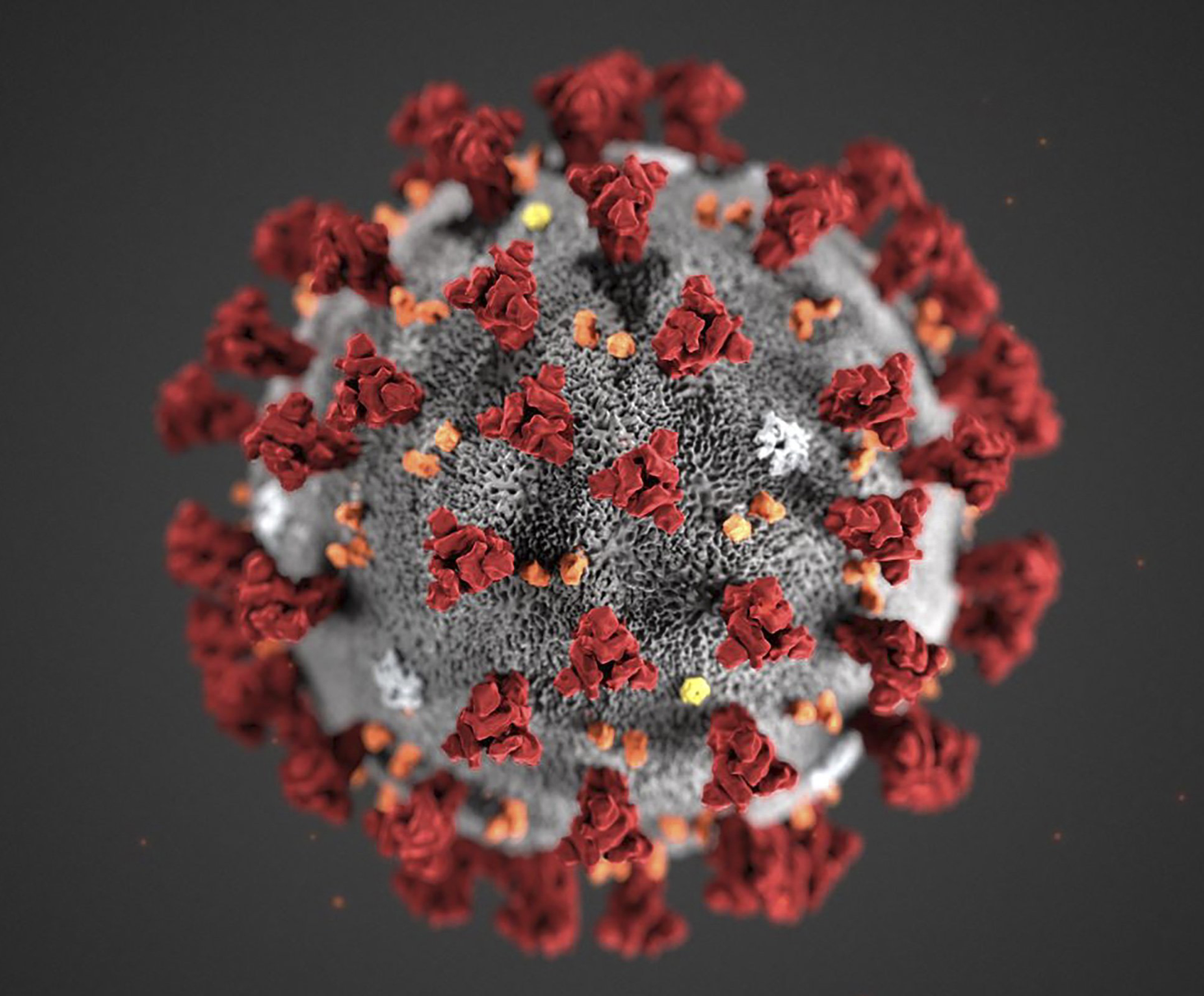 Image: TOPSHOT-US-CHINA-VIRUS-HEALTH