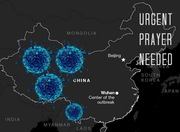 EA1F3111-E4B0-467B-9384-CABF06F11B23